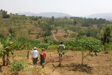 Nature Walk in Gitarama