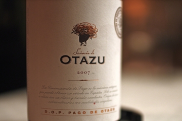 Navarra Wine Tour from Pamplona