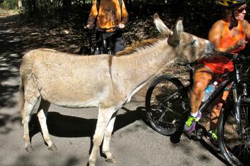 Nevis Island Discovery Bike Tour