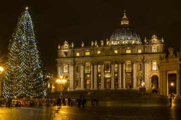 New Year's Eve in Rome: Dinner and Panoramic Night Tour
