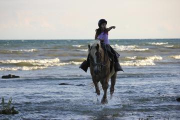 Niagara Beach Horseback Ride Niagara Beach Horseback Ride