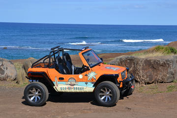 North Shore Off-Road Tour At Ka'ena Point