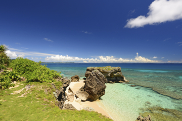 Northern Okinawa Sightseeing Tour from Naha