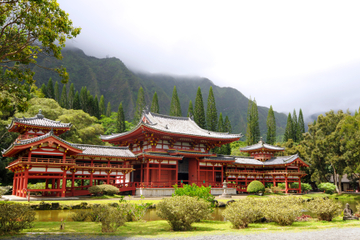 Oahu Coach Tour Including Dole Plantation and Waimea Falls