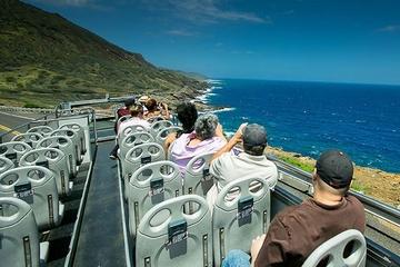 Oahu South Shore Double-Decker Bus Tour with Sea Life Park Admission
