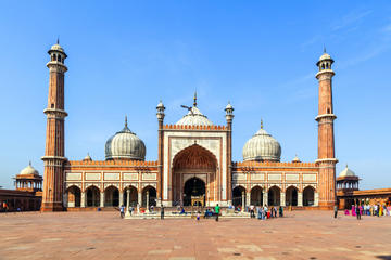 Old Delhi Half Day Small Group Tour