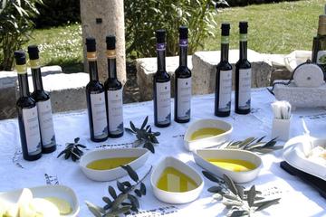 Olive Oil and Wine Tastings in Split