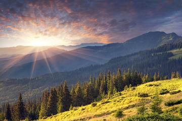 One Day Tour of Vitosha Mountain