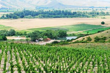 One-Day Wine Tour from Plovdiv