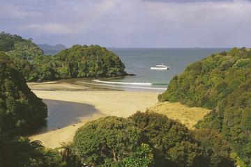 One-Way Ferry to Bluff from Stewart Island