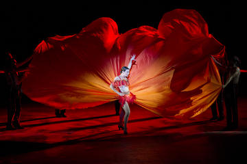 Opera Performance on Sydney Harbour