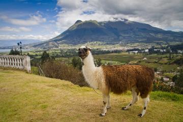 Otavalo Day Trip from Quito: Craft Market, Peguche Waterfall and Parque Condor