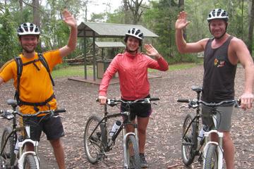 Overnight Minyon Falls Mountain Bike Tour and Mount Warning Sunrise Climb from Byron Bay
