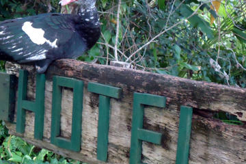 Overnight Orchid Garden Eco-Village Lodge from Belize City Overnight Orchid Garden Eco-Village Lodge from Belize City
