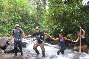 Overnight Tour: The Big Forest Hike Adventure