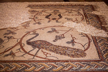 Overnight Trip to Madaba from Amman