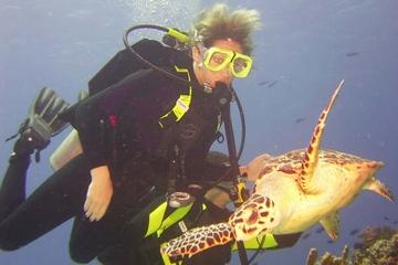 PADI Certification in Cozumel: 3-Day Open-Water Diving Course