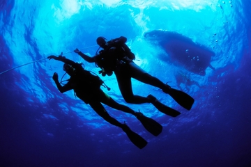 PADI Open Water Diver Certification in Cabo San Lucas