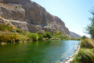 Palm Springs Wildlands Preserve Nature Tour