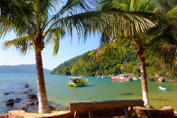 Paraty Rainforest Trek and Secluded Beach Tour