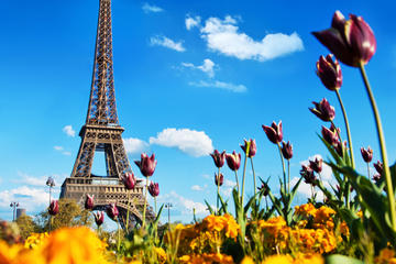 Paris Day Trip from London with Wine Tasting or Visit to Versailles