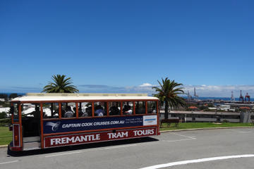 Perth Shore Excursion: Fremantle Hop-On Hop-Off Tram Tour