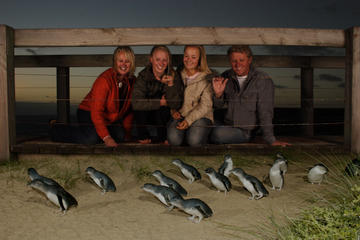 Phillip Island Penguin Parade and Wildlife Day Trip from Melbourne