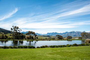 Photo Shoot on Jordan Wine Estate with Wine Tasting and Cheese Platter from Stellenbosch