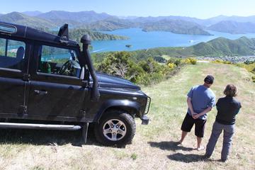 Picton Shore Excursion: Gondola Hill 4WD Tour
