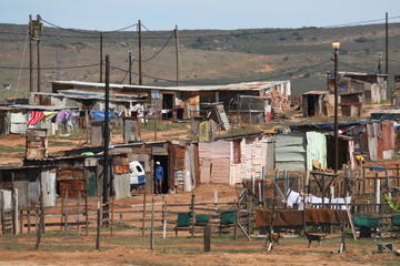Port Elizabeth Township Tour