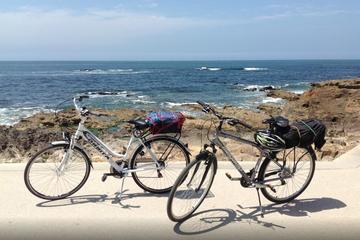 Porto Bike Rental