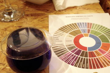 Portuguese Olive Oil Tasting from Porto
