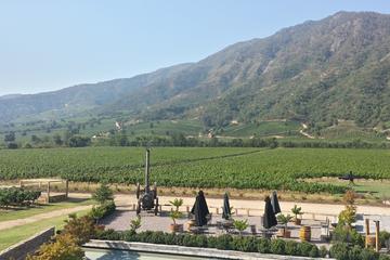 Premium Wineries: Casablanca, Colchagua or Maipo Valleys