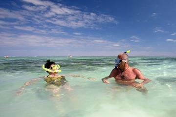 Prickly Pear Island Half-Day Trip by Boat from St John's with Snorkeling