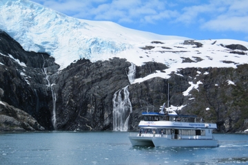 Prince William Sound Surprise Glacier Cruise