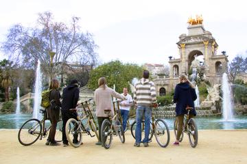 Private 3-Hour Bamboo Bicycle Tour in Barcelona