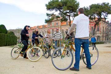 Private 4-Hour Bamboo Bicycle Tour in Barcelona