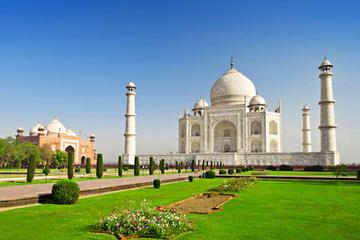 Private 7-Night Tour of Agra and Jaipur from Delhi Including Ranthambore Safari