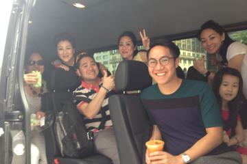 Private and Custom Tour of New York City with Driver