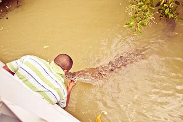 Private Appleton Estate Rum and Black River Safari Tour