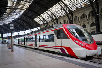 Private Arrival Transfer: Bologna Train Station to Hotel