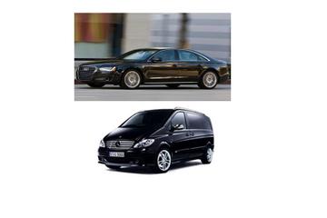 Private Arrival Transfer: Sydney Airport to Hotel or Cruise Port