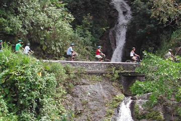 Private Bicycle Tour of Jamaica's Blue Mountains from Montego Bay