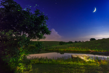 Private Bohol Evening Firefly Watching Cruise
