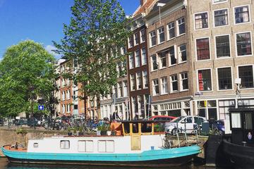 Private Custom Guided Barrier-Free City Tour of Amsterdam