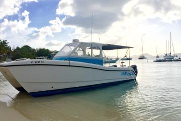 Private Customized Powerboat Charter from St Thomas