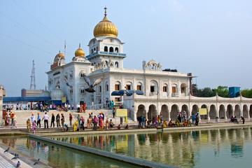 Private Day Tour of Delhi's Grand Temples