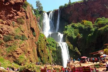 Private Day Trip to Ouzoud Waterfalls from Marrakech