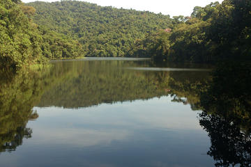 Private Eco Tour at Cantareira State Park from São Paulo