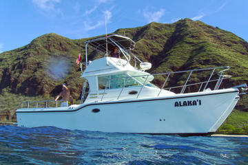 Private Eco-Tour: Snorkeling and Wildlife-Viewing Yacht Cruise from Waianae